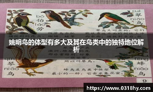 姚明鸟的体型有多大及其在鸟类中的独特地位解析
